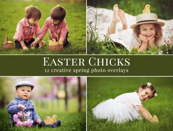 Easter Chicks foto overlays