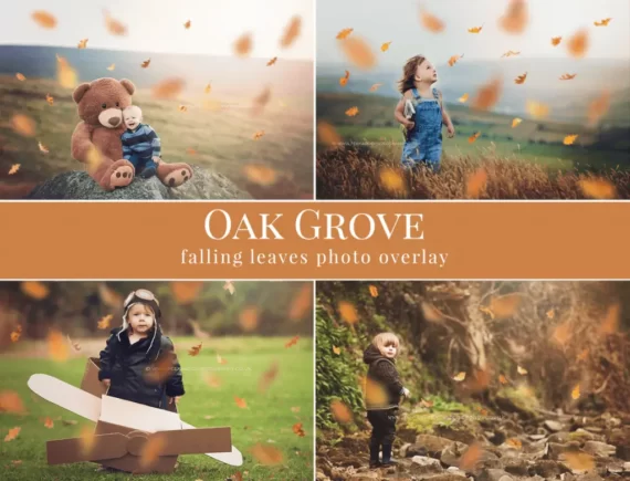 Oak Grove – foto overlays