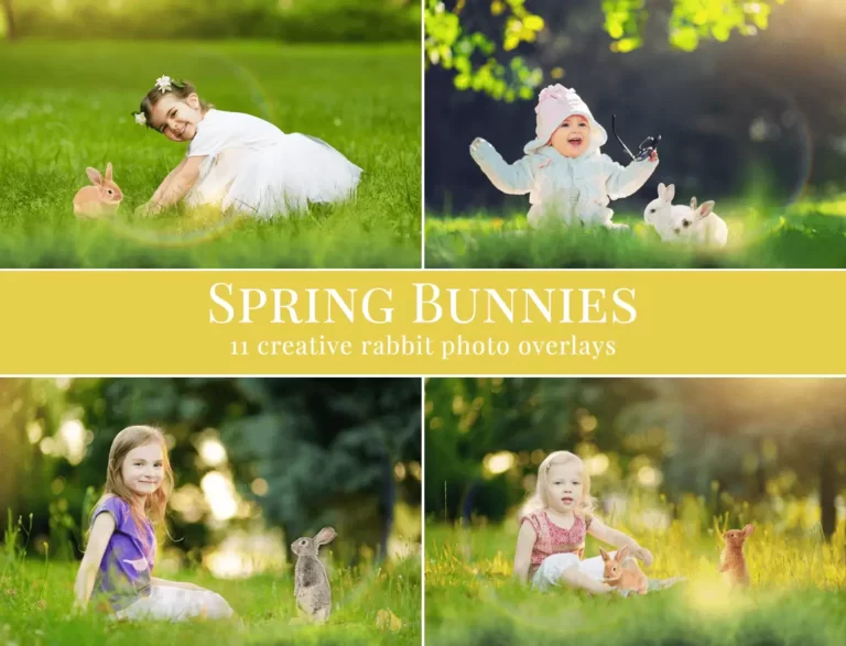 bunnies photo overlays